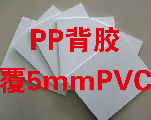 PPz5mmPVC